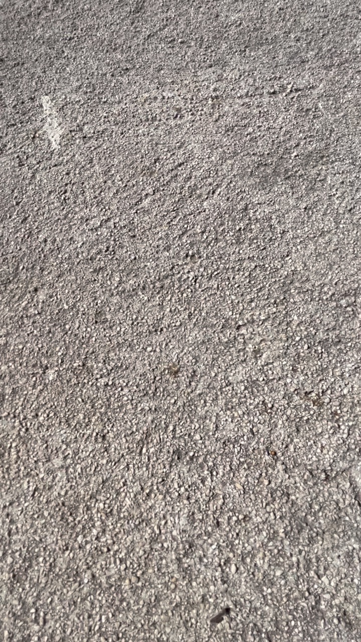 Chantier Roucas - Photo 96